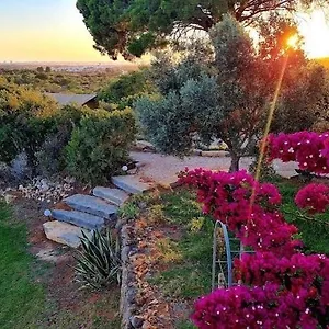 Oasis Camp Portugal Campo de lujo Lagoa (Algarve)